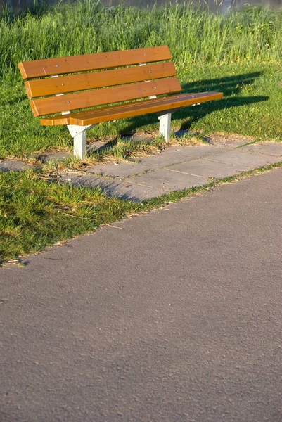 Bänk Solig Sommarmorgon — Stockfoto