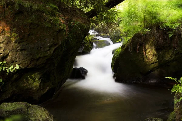 Pequena Cachoeira Riacho Floresta — Fotografia de Stock