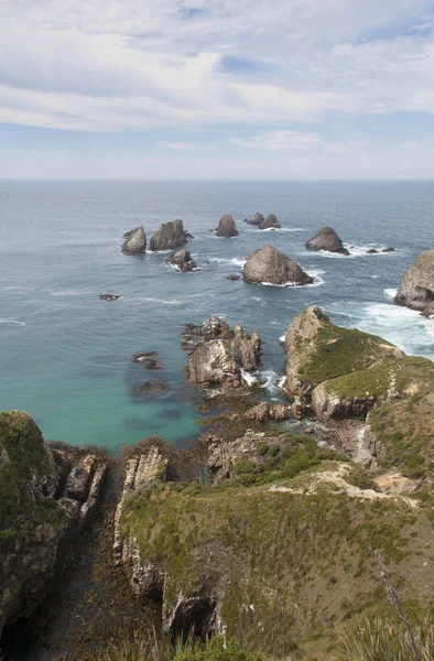 Las Rocas Nugget Point Otago Nueva Zelanda — Foto de Stock