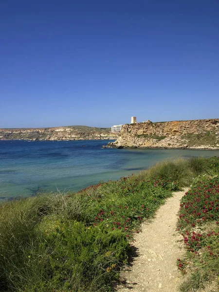 Typische Zomer Landschap Landschap Van Kust Malta — Stockfoto