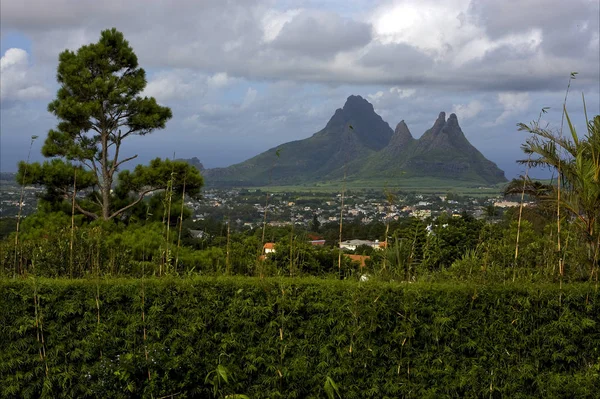 Nuvoloso Albero Montagna Collina Trou Aux Cerfs Mauritius — Foto Stock