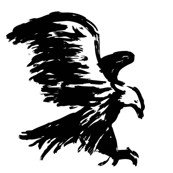 Croquis Main Levée Illustration Aigle Gribouillis Oiseau Hawk Dessiné Main — Photo