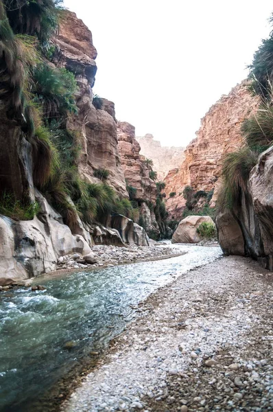 Landskapet Flödande Vatten Creek Wadi Hasa Jordan — Stockfoto