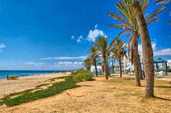 Datlové Palmy Slunné Pláži Hammamet Tunisko Afrika Středozemní Moře Hdr — Stock fotografie