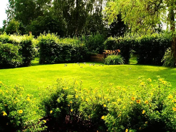 Jardín Verde Domingo Por Mañana — Foto de Stock