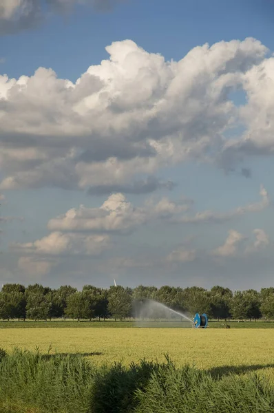 Agricultura Chorro Agua Sobre — Foto de Stock