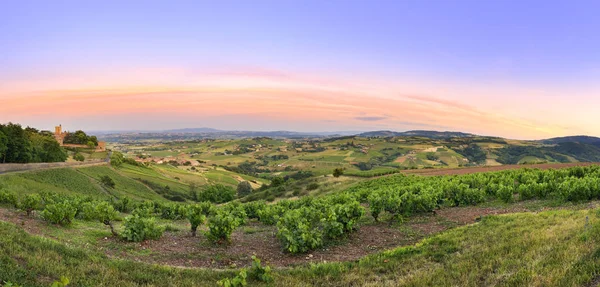 Zachód Panorama Winnice Beaujolais Francja — Zdjęcie stockowe