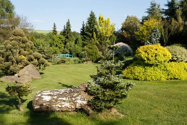 Colorido Jardín Primavera Luz Del Sol Noche Concepto Jardinería Primavera — Foto de Stock