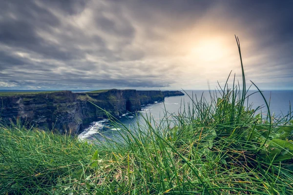 View Cliffs Moher Overcast Cloudy Gloomy Day Ireland — Stock Photo, Image