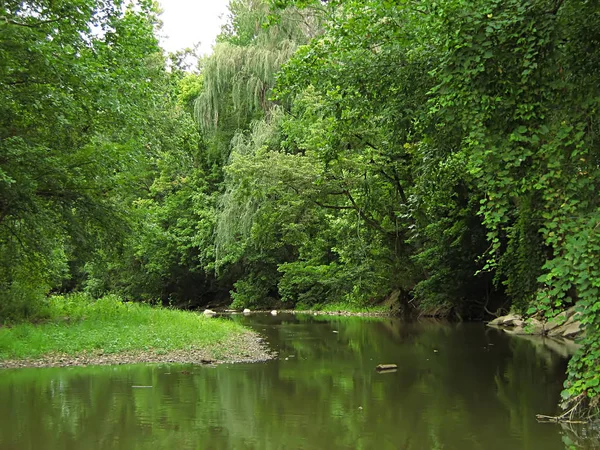 A Landscape Photograph Of Peaceful Forest Scenery Water Springtime Stock Photo A Landscape Photograph Of Peaceful Forest Scenery Water Springtime Stock Photo