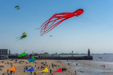 Kırmızı bir ahtapot Beach