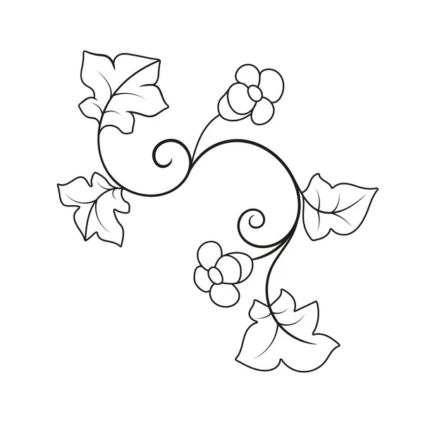 Eléments Vectoriels Boucles Rouleaux Avec Des Éléments Floraux Pour Design — Image vectorielle