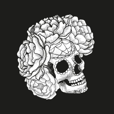 Siyah ve beyaz eskiz kafatasında Şakayık çiçekleri.