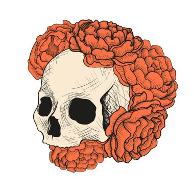 Renk eskiz kafatasında kırmızı Şakayık çiçekleri.