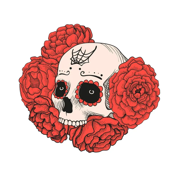 Κρανίο σκίτσο χρώμα σε κόκκινο peony λουλούδια. — Διανυσματικό Αρχείο