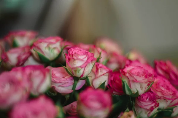 güzel güzel pembe buket gül