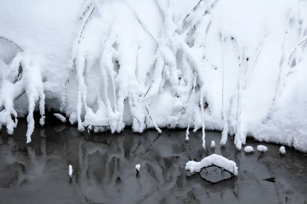 12月的冬季雪林 — 图库照片