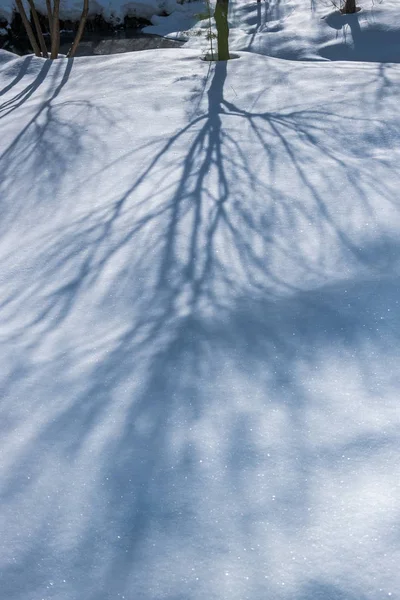 Зимові Снігові Тіні Березні — стокове фото