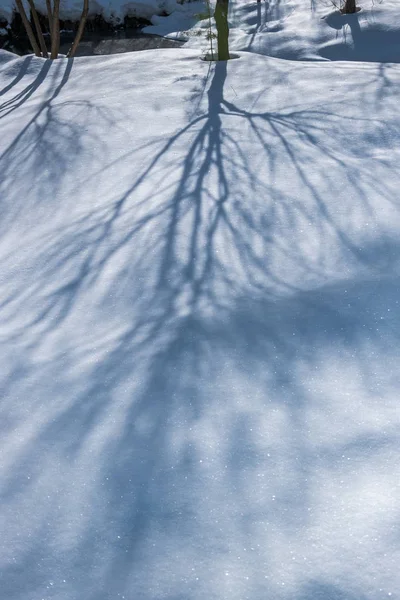 Winter Besneeuwde Schaduwen Maart — Stockfoto