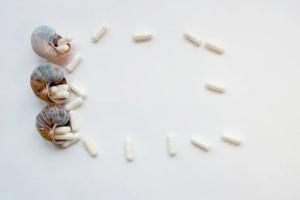 Conques Fond Avec Des Pilules Vitamines — Photo