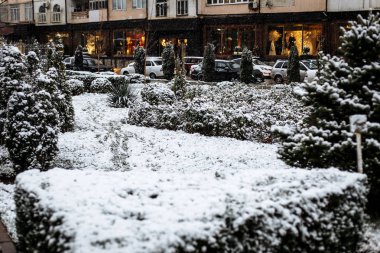 parkta çalıların üzerinde kar
