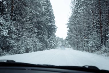 Ormanda karlı bir yol