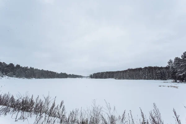 Der Zugefrorene See Winter — Stockfoto