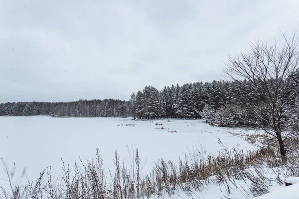 Kışın donmuş göl