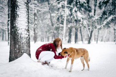 güzel kız bir bordo kazak ve beyaz pantolon giymiş karla kaplı ağaç gövdeleri bir fon karşı kırmızı köpek yanında oturdu