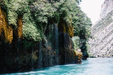Yosunla kaplı bir dağdan akan şelale. Sulak Kanyonu, Dağıstan