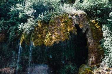 Yosunla kaplı bir dağdan akan şelale. Sulak Kanyonu, Dağıstan