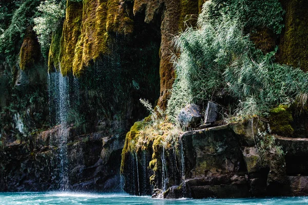 Yosunla kaplı bir dağdan akan şelale. Sulak Kanyonu, Dağıstan