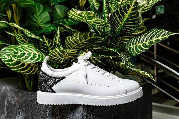 white sneaker with a star ornament made of rhinestones on the backdrop against the motley leaves of the plant