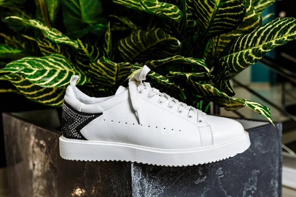 white sneaker with a star ornament made of rhinestones on the backdrop against the motley leaves of the plant