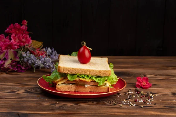 Курячий бутерброд два бутерброди, куряче філе, тамагоякі, салат, моцарела, соус з тіста, злегка солоні огірки, вишня — стокове фото