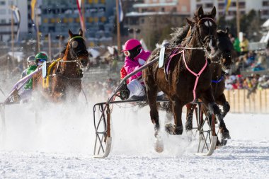 Kış at yarışı - İsviçre