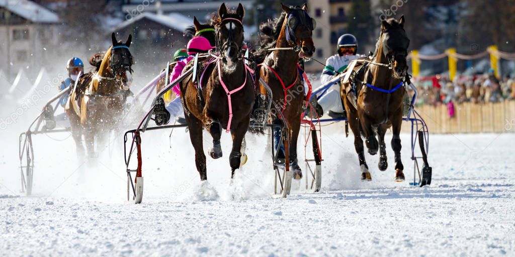 winter horse race - swiss