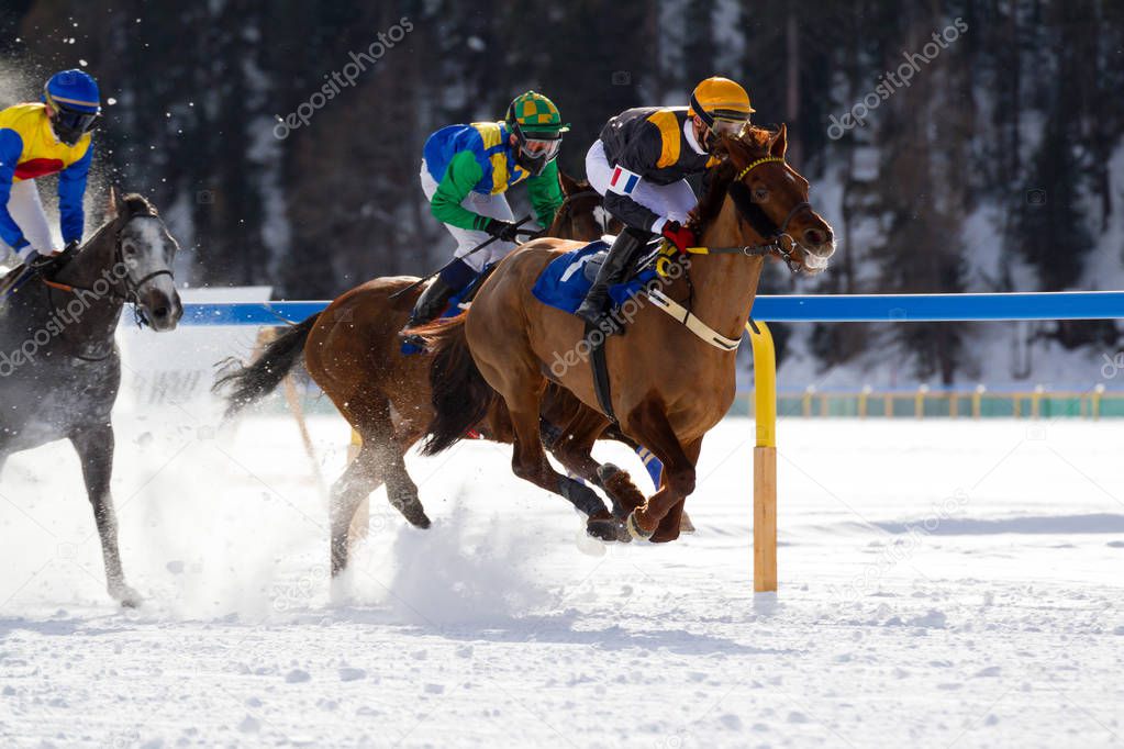 White Turf - Horse race (Swiss)