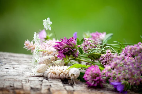 Μπουκέτο Λουλούδια Από Τις Άλπεις — Φωτογραφία Αρχείου