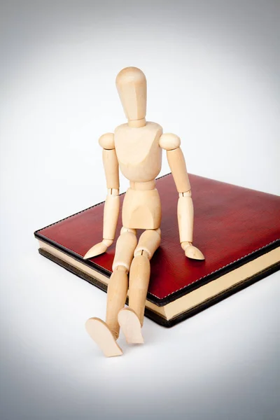 Book Wood Mannequin Royalty Free Stock Images