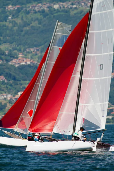 Regatta Med Katamaran Team — Stockfoto