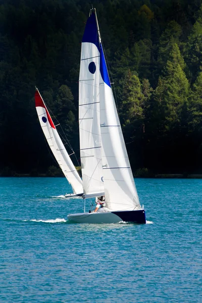 Régate Dans Lac Alpin — Photo