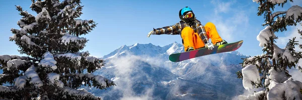 Ağaçların Snowboarder — Stok fotoğraf