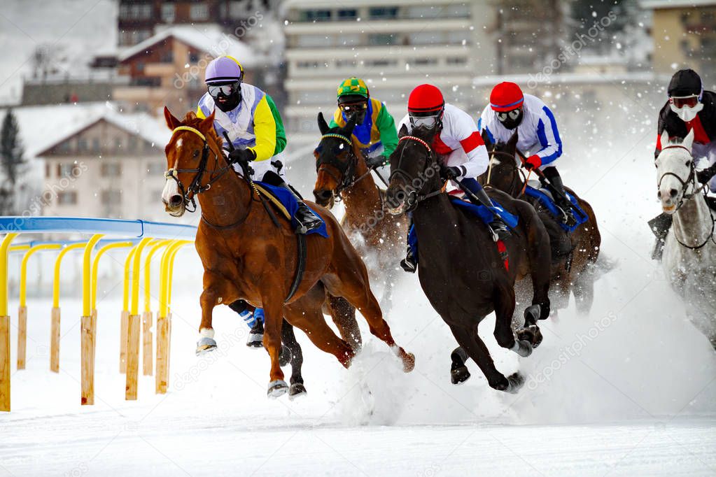 Horse race in the snow