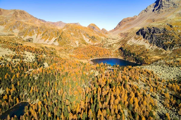 Val Campo Poschiavo Lago Viola Veduta Aerea Autunnale — Foto Stock