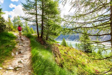 Yüksek dağlarda trekking yaz