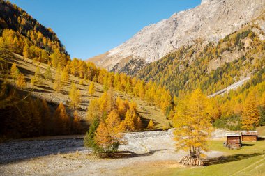 Val Zebr - Bormio (BT) 