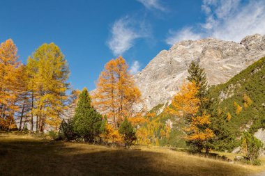 Val Zebr - Bormio (BT) 