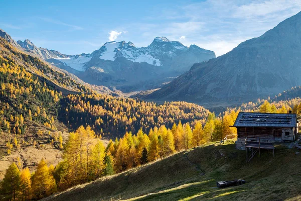 Valtellina Bormio Val Dosd Rifugio Altumeira —  Fotos de Stock