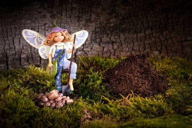 fasulye sows elf ile kompozisyon